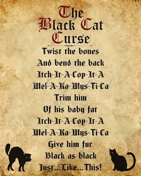 Black cats and voodoo dolls
